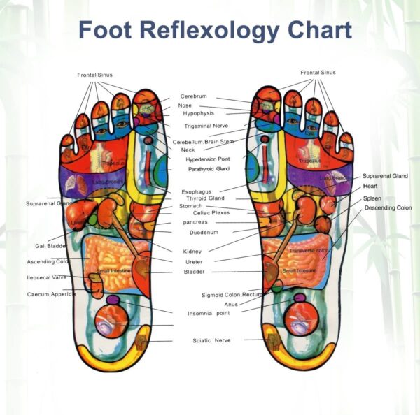Body Toxins Feet Slimming Cleansing