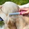 professional dog grooming combs blessedfriday