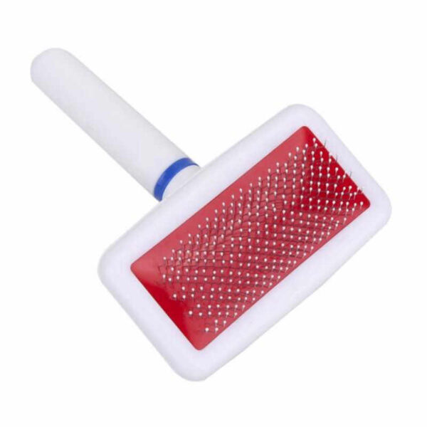pet brush needle comb for shedding hair price in pakistan blessedfriday