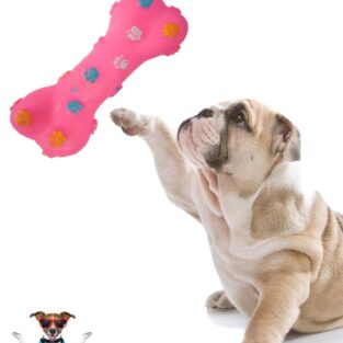 safe plastic chew toys for dogs blessedfriday.pk