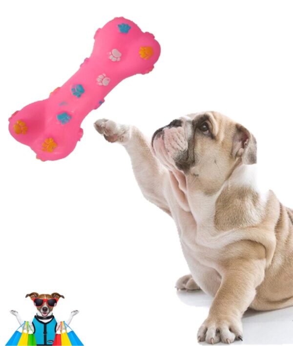 safe plastic chew toys for dogs blessedfriday.pk