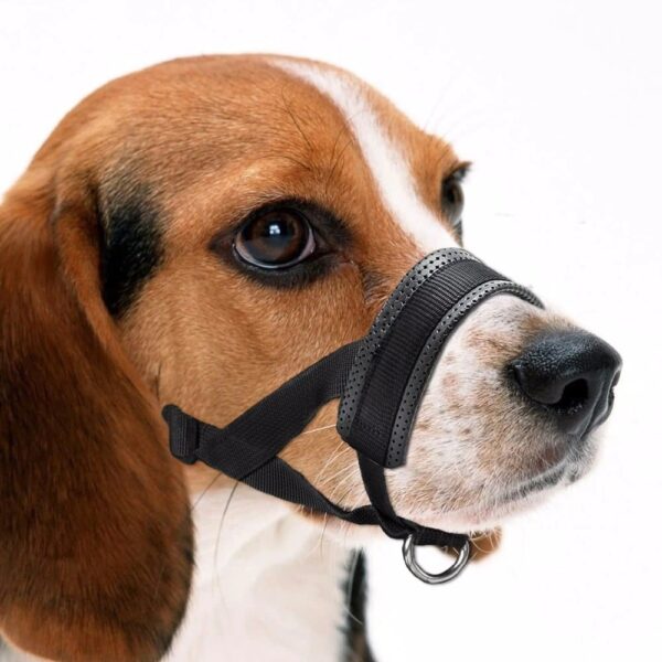 dog muzzle for barking medium dogs blessedfriday