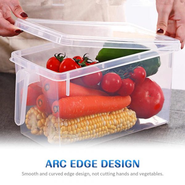 plastic carrying box with handle