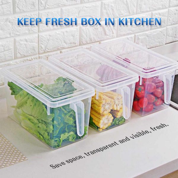 plastic storage box with lid and handle